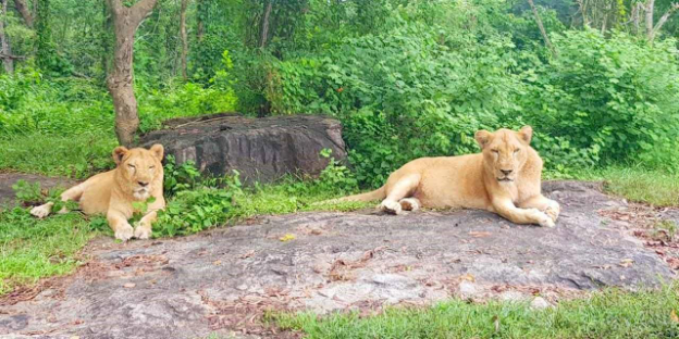 Neyyar Wildlife Sanctuary & Dam
