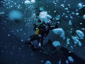 Scuba Diving